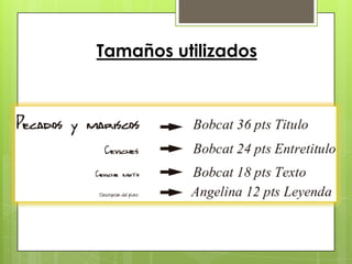 Tamaños utilizados
 