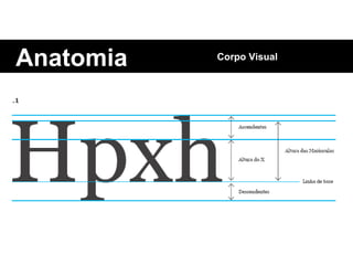 Anatomia Corpo Visual 