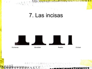7. Las incisas
Son formas intermedias entre romana tradicional
y el palo seco, del que toman la simplicidad.

 
