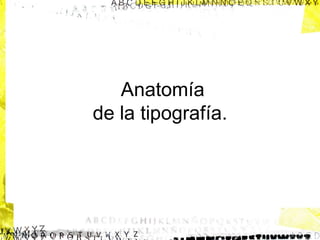 Anatomía
de la tipografía.

 