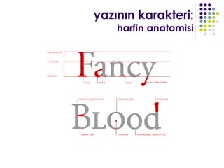 yazının karakteri:
    harfin anatomisi
 