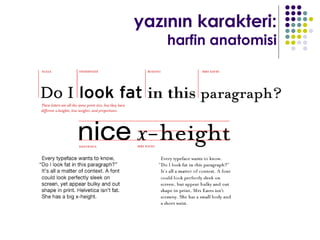 yazının karakteri:
    harfin anatomisi
 