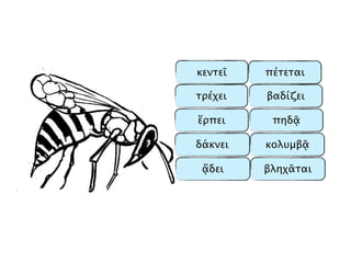 βληχᾶται
πέτεται
πηδᾷ
βαδίζει
κεντεῖ
τρέχει
ἕρπει
ᾄδει
δάκνει κολυμβᾷ
 