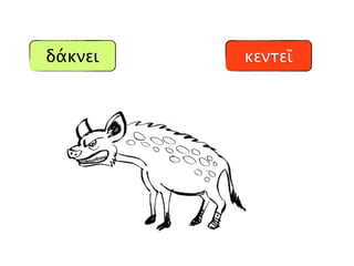δάκνει κεντεῖ
 