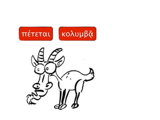πέτεται κολυμβᾷ
 