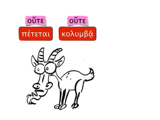 οὔτε
πέτεται κολυμβᾷ
οὔτε
 
