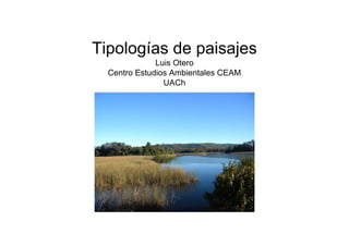 Tipologías de paisajes
              Luis Otero
  Centro Estudios Ambientales CEAM
                UACh
 