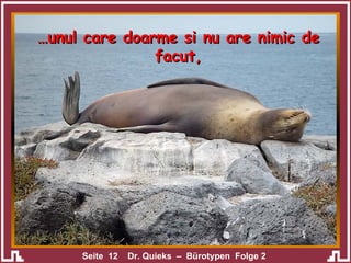 … unul care doarme si nu are nimic de facut, 