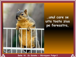 … unul care se uita toata ziua pe fereastra, 