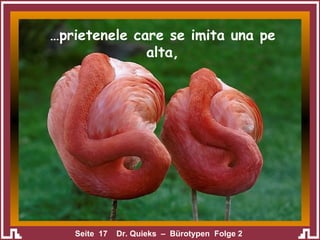 … prietenele care se imita una pe alta, 