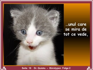 … unul care se mira de tot ce vede, 