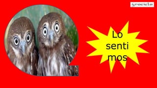Lo
senti
mos
 