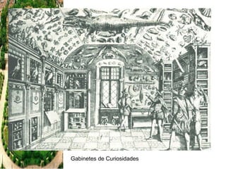 Gabinetes de Curiosidades  