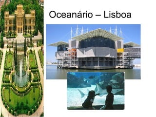 Oceanário – Lisboa  