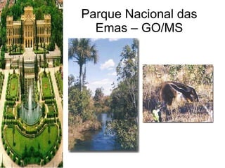 Parque Nacional das Emas – GO/MS 