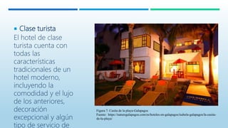  Clase turista
El hotel de clase
turista cuenta con
todas las
características
tradicionales de un
hotel moderno,
incluyendo la
comodidad y el lujo
de los anteriores,
decoración
excepcional y algún
tipo de servicio de
Figura 7: Casita de la playa-Galapagos
Fuente: https://naturegalapagos.com/es/hoteles-en-galapagos/isabela-galapagos/la-casita-
de-la-playa/
 