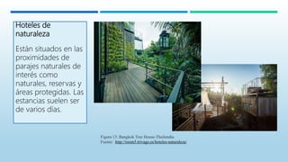 Hoteles de
naturaleza
Están situados en las
proximidades de
parajes naturales de
interés como
naturales, reservas y
áreas protegidas. Las
estancias suelen ser
de varios días.
Figura 13: Bangkok Tree House-Thailandia
Fuente: http://room5.trivago.es/hoteles-naturaleza/
 