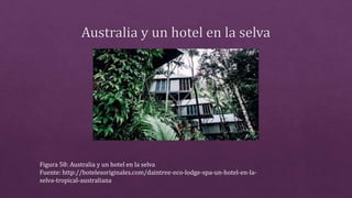 Figura 58: Australia y un hotel en la selva
Fuente: http://hotelesoriginales.com/daintree-eco-lodge-spa-un-hotel-en-la-
selva-tropical-australiana
 