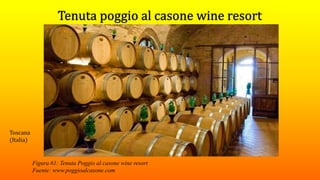 Figura 61: Tenuta Poggio al casone wine resort
Fuente: www.poggioalcasone.com
Toscana
(Italia)
 
