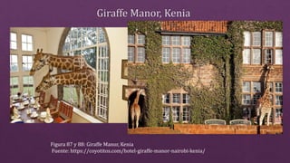 Figura 87 y 88: Giraffe Manor, Kenia
Fuente: https://coyotitos.com/hotel-giraffe-manor-nairobi-kenia/
 