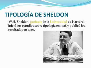 TIPOLOGÍA DE SHELDON
W.H. Sheldon, profesor de la Universidad de Harvard,
inició sus estudios sobre tipología en 1928 y publicó los
resultados en 1940.
 