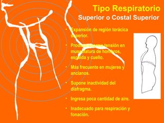 Tipo Respiratorio Superior o Costal Superior Expansión de región torácica superior. Produce enorme tensión en musculatura de hombros, espalda y cuello. Más frecuente en mujeres y ancianos. Supone inactividad del diafragma.  Ingresa poca cantidad de aire.  Inadecuado para respiración y fonación. 