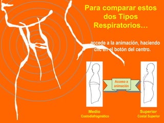 Para comparar estos dos Tipos Respiratorios… …  accede a la animación, haciendo clic en el botón del centro. Acceso a animación Medio    Superior  Costodiafragmático  Costal Superior 