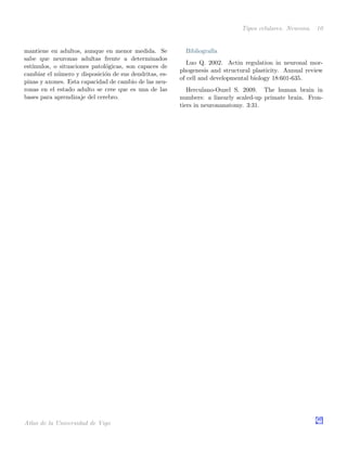 Tipos celulares. Neurona. 10
mantiene en adultos, aunque en menor medida. Se
sabe que neuronas adultas frente a determinados
est´ımulos, o situaciones patol´ogicas, son capaces de
cambiar el n´umero y disposici´on de sus dendritas, es-
pinas y axones. Esta capacidad de cambio de las neu-
ronas en el estado adulto se cree que es una de las
bases para aprendizaje del cerebro.
Bibliograf´ıa
Luo Q. 2002. Actin regulation in neuronal mor-
phogenesis and structural plasticity. Annual review
of cell and developmental biology 18:601-635.
Herculano-Ouzel S. 2009. The human brain in
numbers: a linearly scaled-up primate brain. Fron-
tiers in neuronanatomy. 3:31.
Atlas de la Universidad de Vigo
 