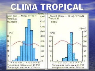 CLIMA TROPICAL 