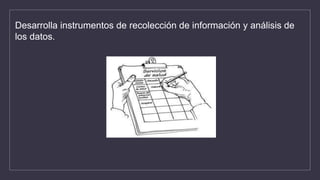 Desarrolla instrumentos de recolección de información y análisis de
los datos.
 