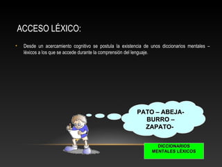 ACCESO LÉXICO:
• Desde un acercamiento cognitivo se postula la existencia de unos diccionarios mentales –
léxicos a los que se accede durante la comprensión del lenguaje.
PATO – ABEJA-PATO – ABEJA-
BURRO –BURRO –
ZAPATO-ZAPATO-
DICCIONARIOSDICCIONARIOS
MENTALES LÉXICOSMENTALES LÉXICOS
 