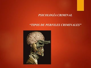 PSICOLOGÍA CRIMINAL
“TIPOS DE PERFILES CRIMINALES”
 