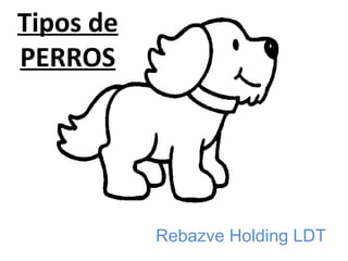 Tipos de
PERROS
Rebazve Holding LDT
 
