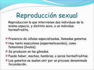 Reproducción sexual
Reproduccion la que intervienen dos individuos de la
misma especie, y distinto sexo, o un individuo
hermafrodita.

Presencia de células especializadas, llamadas gametos.
Hay tanto masculinos (espermatozoides), como
femeninos (óvulos).
Se producen en las gónadas.
Puede haber, machos, hembras, o seres hermafroditas.
Los gametos se suelen unir por un proceso denominado
fecundación.
 