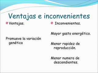 Ventajas e inconvenientes
 Ventajas.                Inconvenientes.

                        Mayor gasto energético.
Promueve la variación
  genética              Menor rapidez de
                         reproducción.

                        Menor numero de
                         descendientes.
 