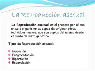 La Reproducción asexual es el proceso por el cual
 un solo organismo es capaz de originar otros
 individuos nuevos, que son copias del mismo desde
 el punto de vista genético.

Tipos de Reproducción asexual:

  Gemación
  Fragmentación
  Bipartición
  Esporulación
 