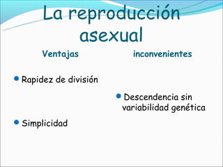 La reproducción
          asexual
      Ventajas            inconvenientes

Rapidez de división

                       Descendencia sin
                        variabilidad genética
Simplicidad
 