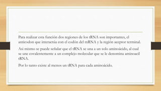 Para realizar esta función dos regiones de los tRNA son importantes, el
anticodon que interactúa con el codón del mRNA y la región aceptor terminal.
Asi mismo se puede señalar que el tRNA se una a un solo aminoácido, al cual
se une covalentemente a un complejo molecular que se le denomina aminoacil
tRNA.
Por lo tanto existe al menos un tRNA para cada aminoácido.
 