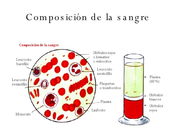 Donde es posible se contagiará por las lombrices