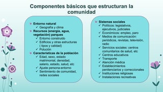 Tipos, características y funciones de las comunidades