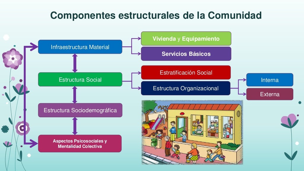 Tipos, características y funciones de las comunidades