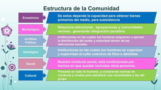 Tipos, características y funciones de las comunidades | PPTX