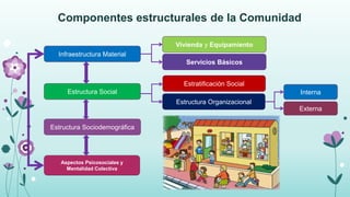 Tipos, características y funciones de las comunidades | PPTX