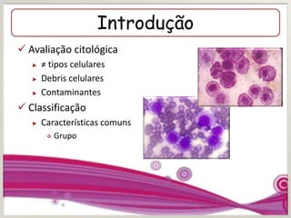 Introdução
 Avaliação citológica
► ≠ tipos celulares
► Debris celulares
► Contaminantes
 Classificação
► Características comuns
 Grupo
 