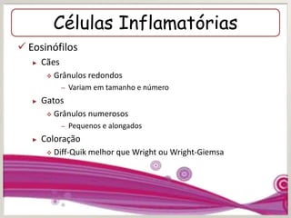 Células Inflamatórias
 Eosinófilos
► Cães
 Grânulos redondos
– Variam em tamanho e número
► Gatos
 Grânulos numerosos
– Pequenos e alongados
► Coloração
 Diff-Quik melhor que Wright ou Wright-Giemsa
 