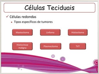 Células Teciduais
 Células redondas
► Tipos específicos de tumores
Mastocitoma Linfoma Histiocitoma
Histiocitose
maligna
Plasmocitoma TVT
 