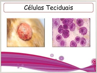Células Teciduais
 