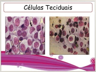 Células Teciduais
 