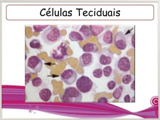 Células Teciduais
 