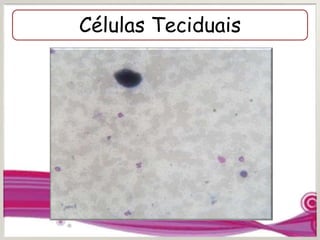Células Teciduais
 